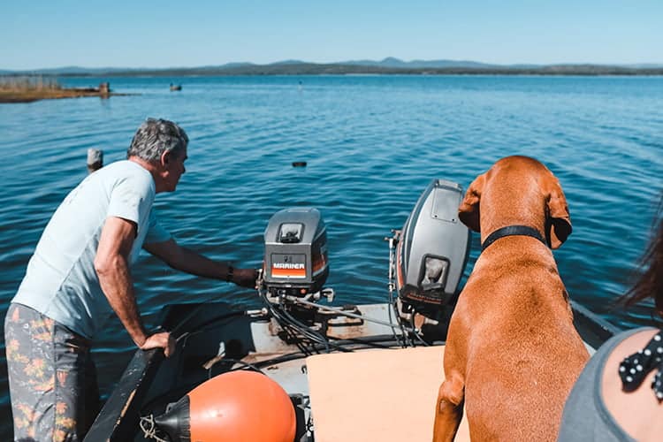 clean an outboard motor