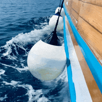 Boat Fender Cleaning At Sea