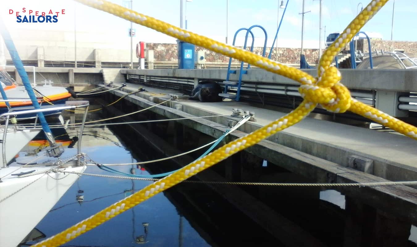 Boats tyed up in the ocean side dock.