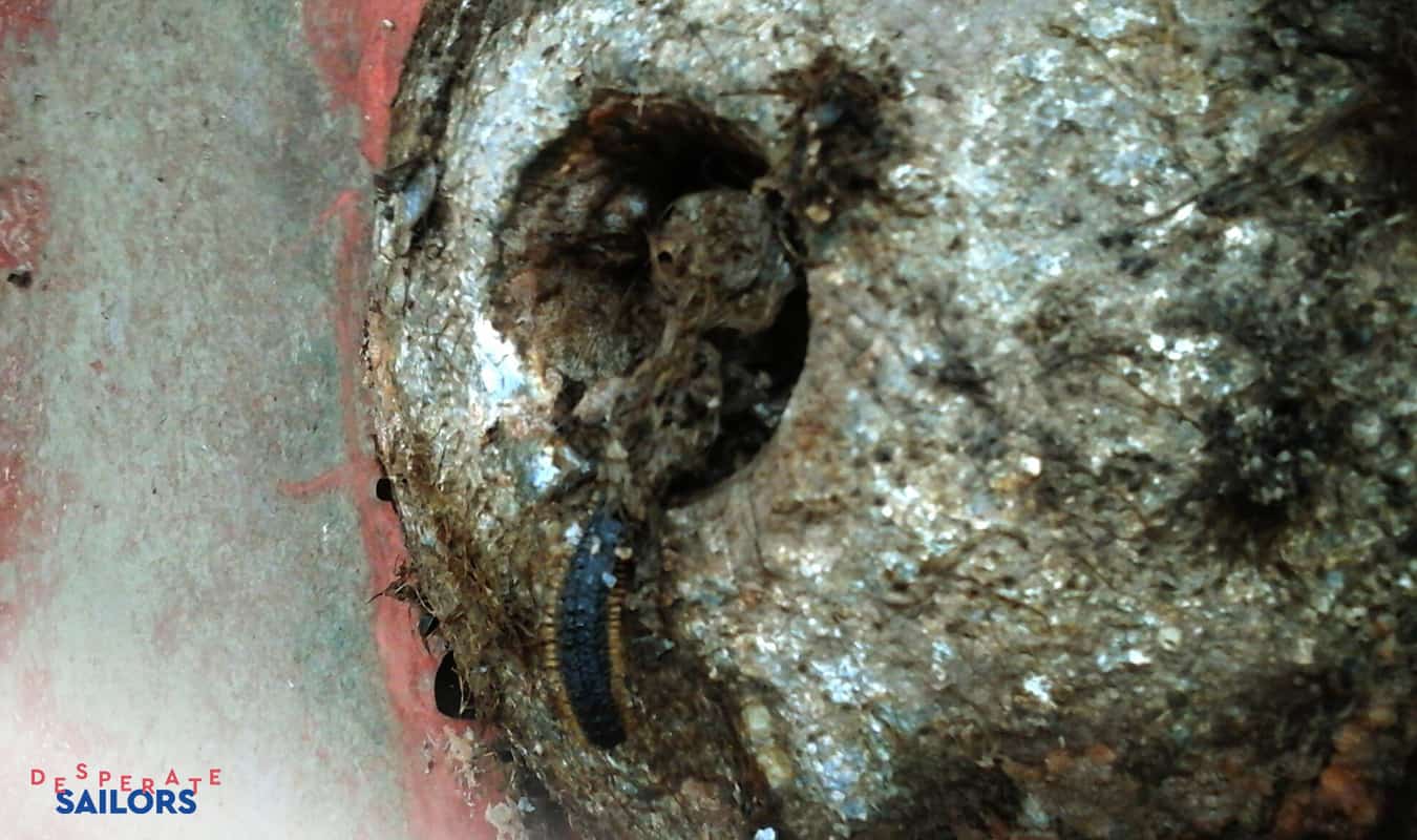 How Do Sacrificial Anodes Work? Find Out Everything Here 3 3 years sacrificial anode out of water